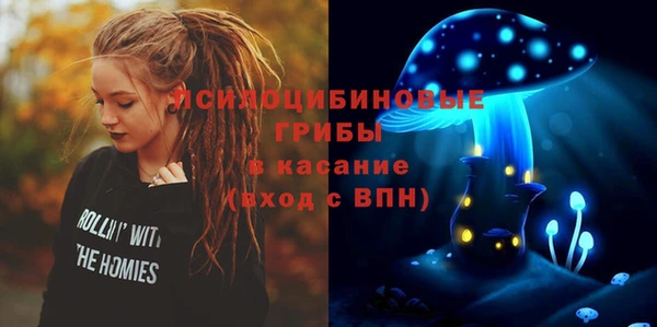 ПСИЛОЦИБИНОВЫЕ ГРИБЫ Балабаново