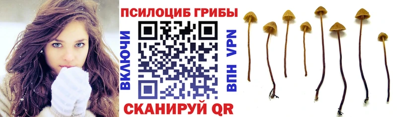 купить закладку  Курлово  Псилоцибиновые грибы Magic Shrooms 