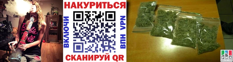 Каннабис гибрид  Курлово 